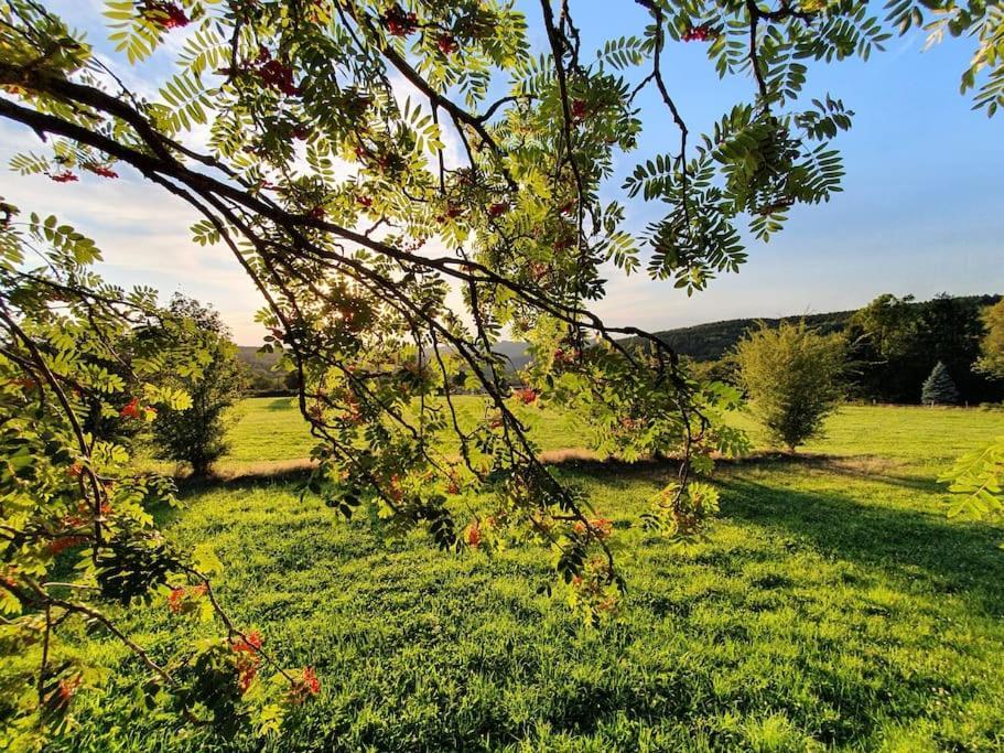Le Haut' Mont Manhay Dış mekan fotoğraf